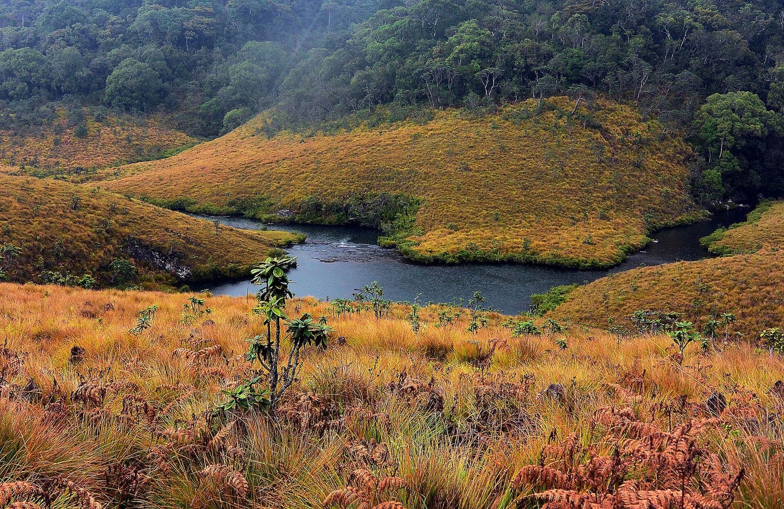Horton Plains & World's End