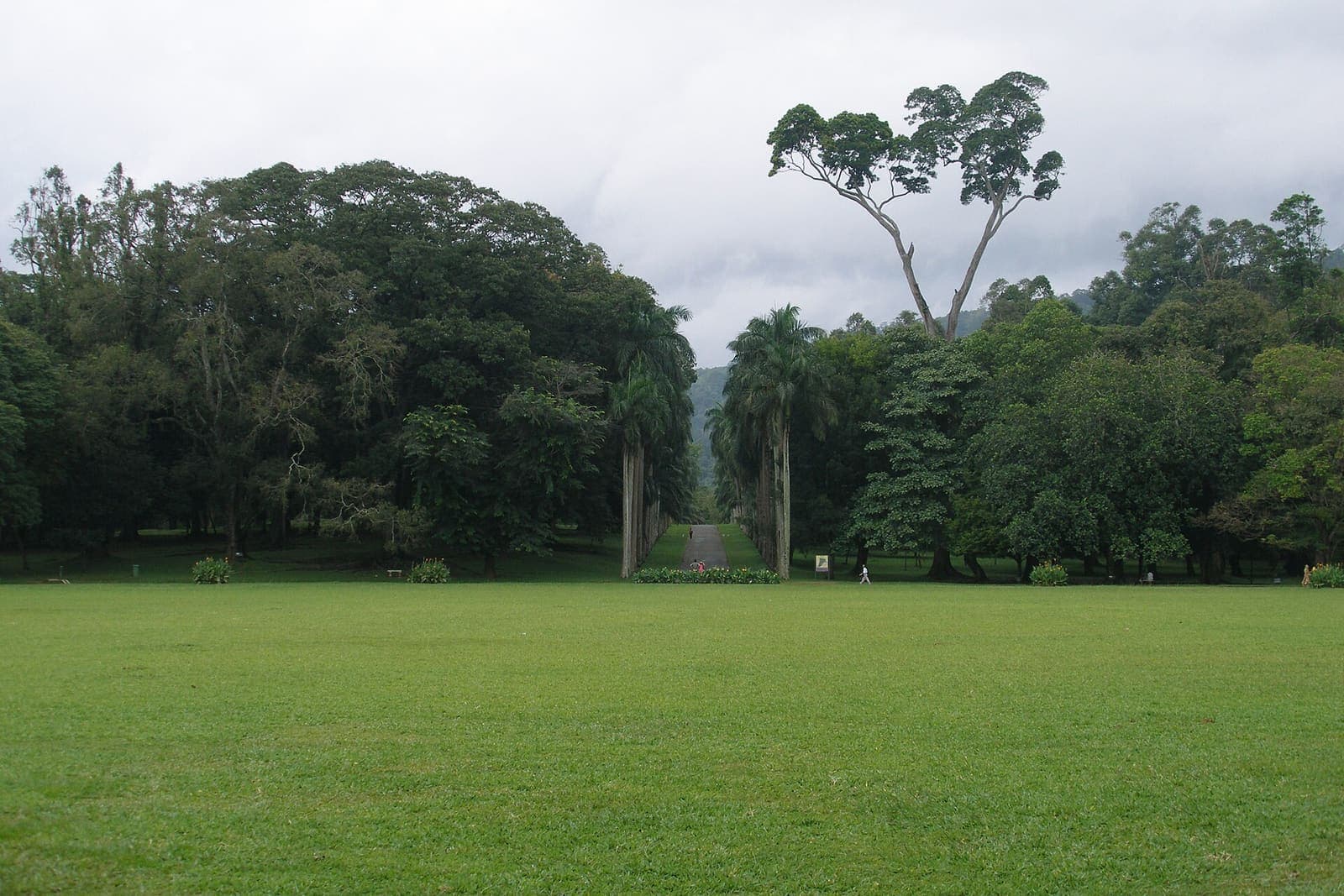 Royal Botanical Gardens, Peradeniya