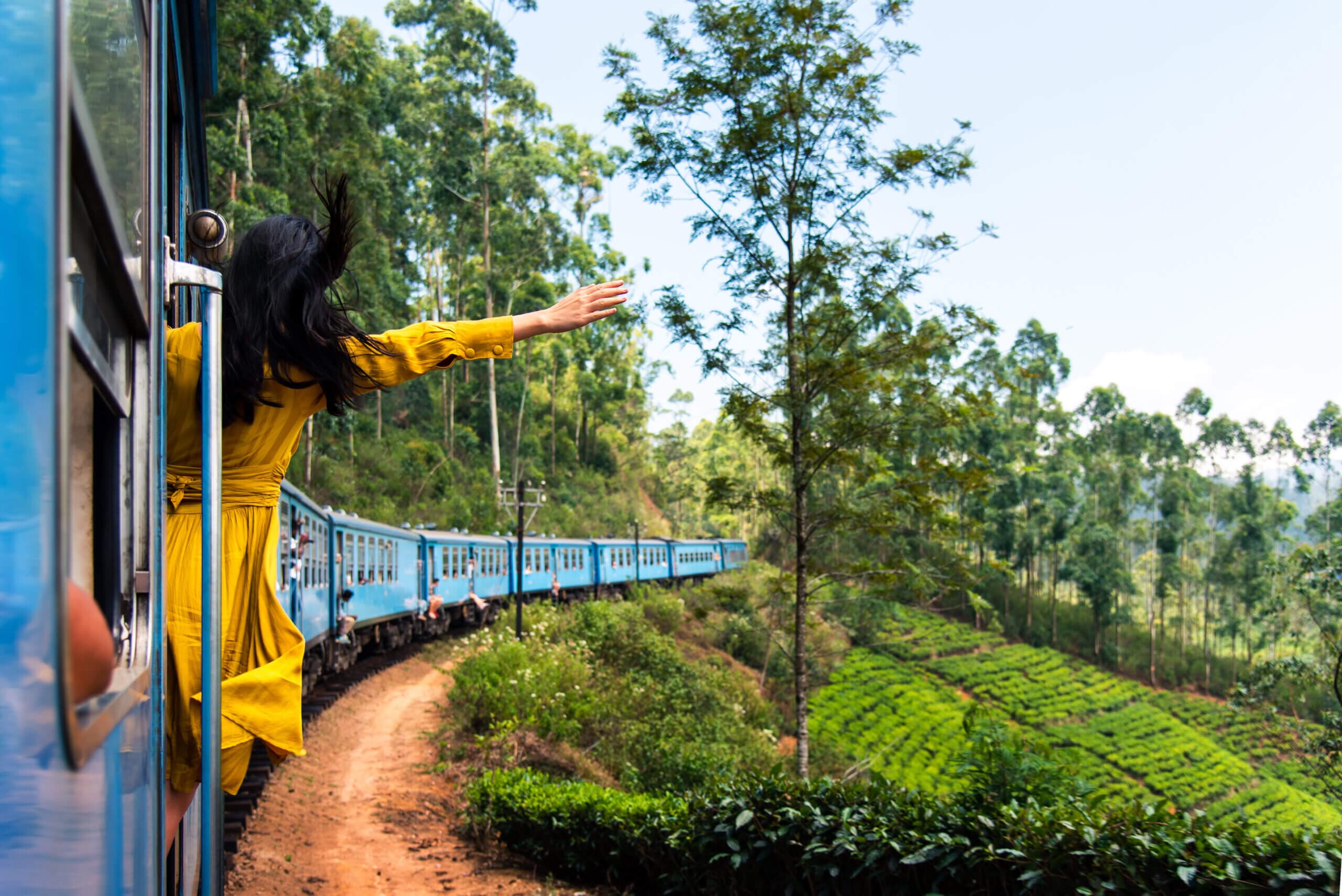 Mini Tour of Sri Lanka
